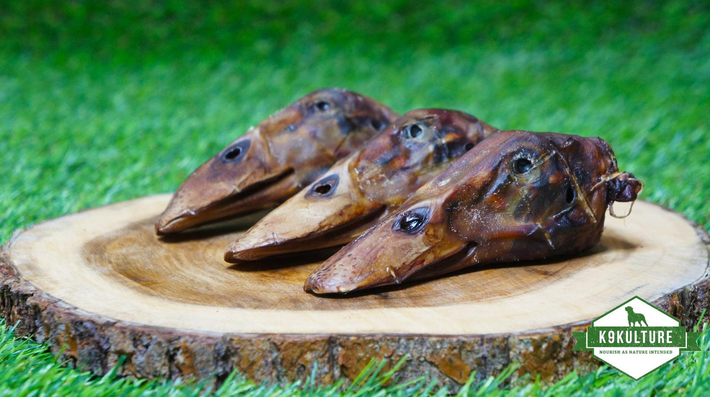 Dehydrated Duck Heads