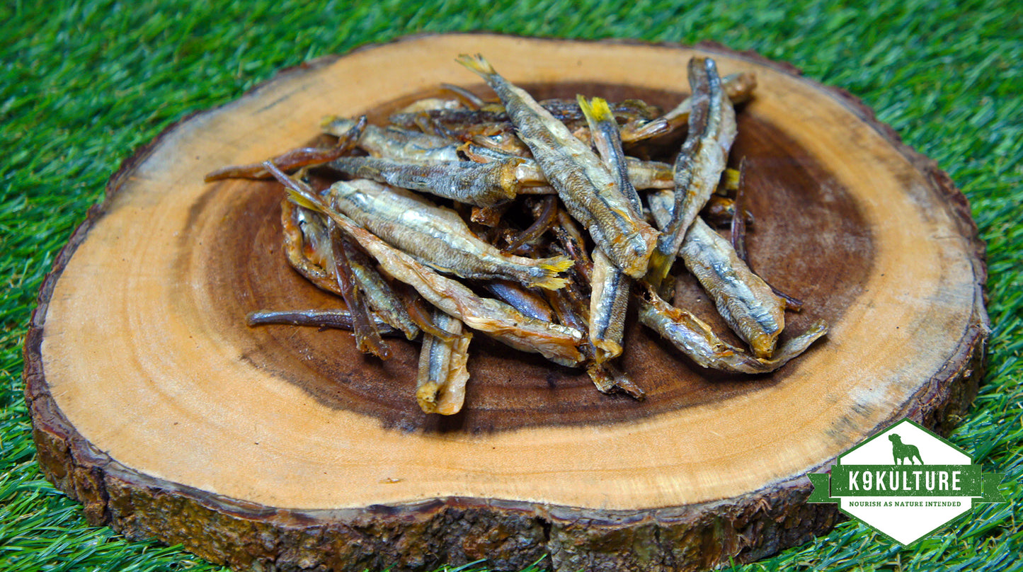 Dehydrated Lake Smelt