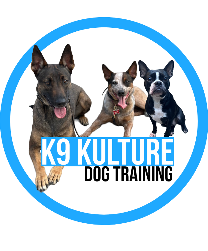 10 Lesson Training Package